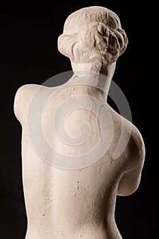 A statue of Venus, plaster