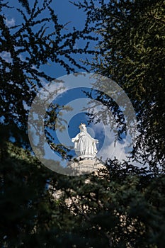 Statue of the Virgin Mary surrounded by Lebanese cedars