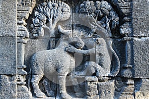 Statue Wall of Borobudur temple, Java, Indonesia