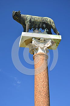 The statue of she-wolf on Square of Miracles in Pisa, Italy