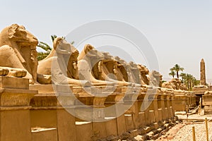 Statues in the Alley of the Ram Headed Sphinxes at the Temple of Karnak in Luxor, Egypt