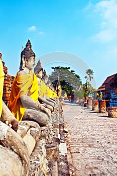 Statues of Buddha on a row in temple Wat Yai Chai Mongkol