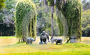 Statues and creeper plants in greenfield