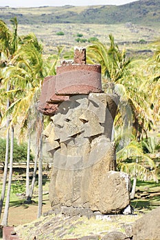Statues on easter island photo