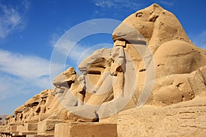 Statues in Karnak Temple photo