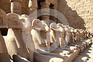 Statues in Karnak Temple photo