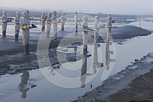 Statues in Lapindo mud.