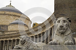 Statues of lionesses in the square of Piazza del Plebiscito