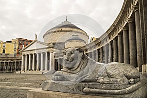 Statues of lionesses in the square of Piazza del Plebiscito