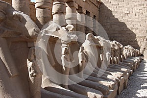 Statues in Luxor