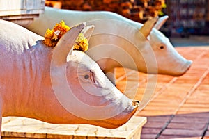 Statues of pigs in Thailand decorated with flowers