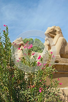 Statues of rams at Temple of Karnak (Egypt).