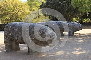 Statues of Toros de Guisando taken in El Tiemblo Spain photo