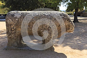 Statues of Toros de Guisando taken in El Tiemblo Spain photo