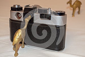 Statuette of a camel near a retro camera on a white background