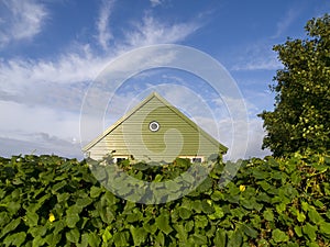 Stavanger Wood House