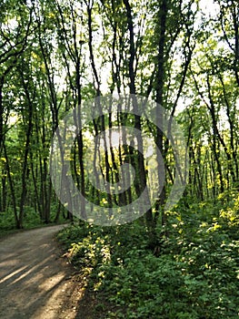 Stavropol spring park