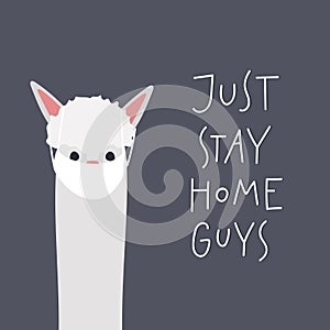 Stay home alpaca llama quarantine illustration