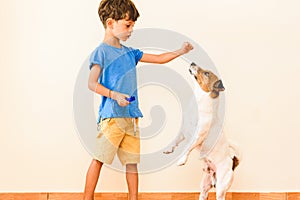 Stay at home learn new skill concept  with boy training dog tricks with clicker and positive reinforcement