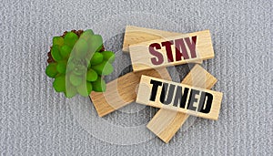 STAY TUNED - words on wooden blocks on gray background and cactus photo