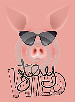Stay wild lettering and funny pig in sun glasses.