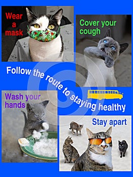 Staying Healthy - Coronavirus - Cat Reminders - Wash Hands, Cover Cough, Wear Mask, Stay Apart