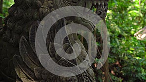 Steadicam shot of the dragon in the natural park Monkey forest in Ubud village, Bali, Indonesia