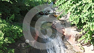 Steady shot of a gently flowing brook