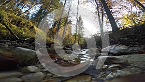 Steady shot of the stream in the fall forest