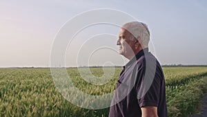 Steadycam shot of an old farmer walking in a green wheat field