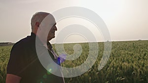 Steadycam shot of an old farmer walking in a green wheat field