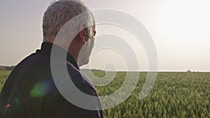 Steadycam shot of an old farmer walking in a green wheat field