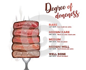 Steak doneness layer vector illustration photo