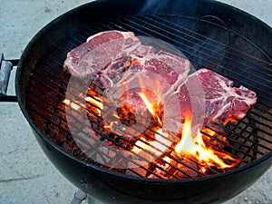 Steak on Grill photo