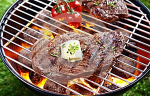 Steak grilling over a glowing fire