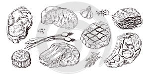 Steak. Vintage sketch with beef and pork chops ribs and fillet, butchery food products with garlic and pepper. Vector