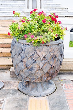 Steal pipal leaf texture pot with Bougainvillaea flower photo