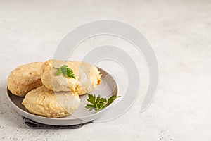 Steam chicken cutlet on a white plate, white background, copy sp