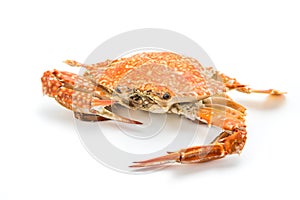 Steam crab cooked in red, orange an white