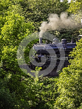 Steam Engine crossing a Bridge