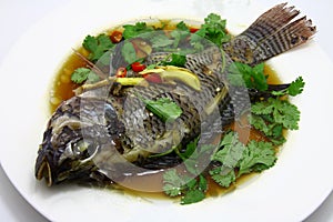 Steam fish photo