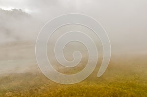 Steam and fog engulf midway geyser basin