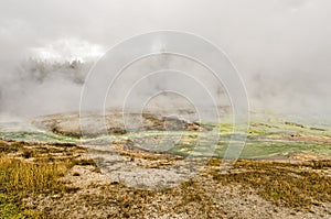 Steam and Fog Engulf Nearby Trees