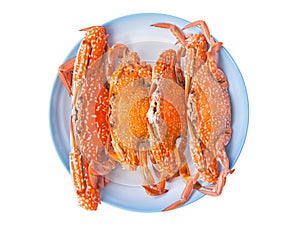 Steam food crab on dish