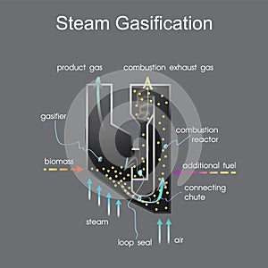Steam gasification process.