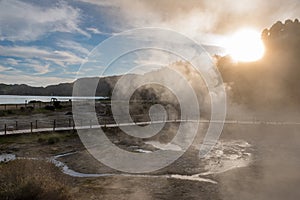 Steam from hot springs at the shore of Furnas lake, in Sao Miguel island. Azores, Portugal