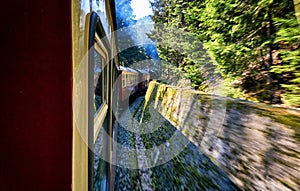 Steam locomotive drives through a curve in the forest. Dynamics through motion blur