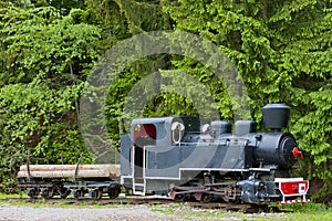 Steam locomotive, Museum of Kysuce village, Vychylovka, Slovakia