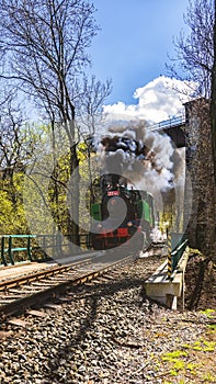 Steam locomotive in Prokop Valley, Prague