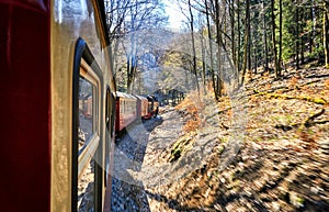 Steam locomotive ride through the forest with trees in the mountains. Dynamics through motion blur